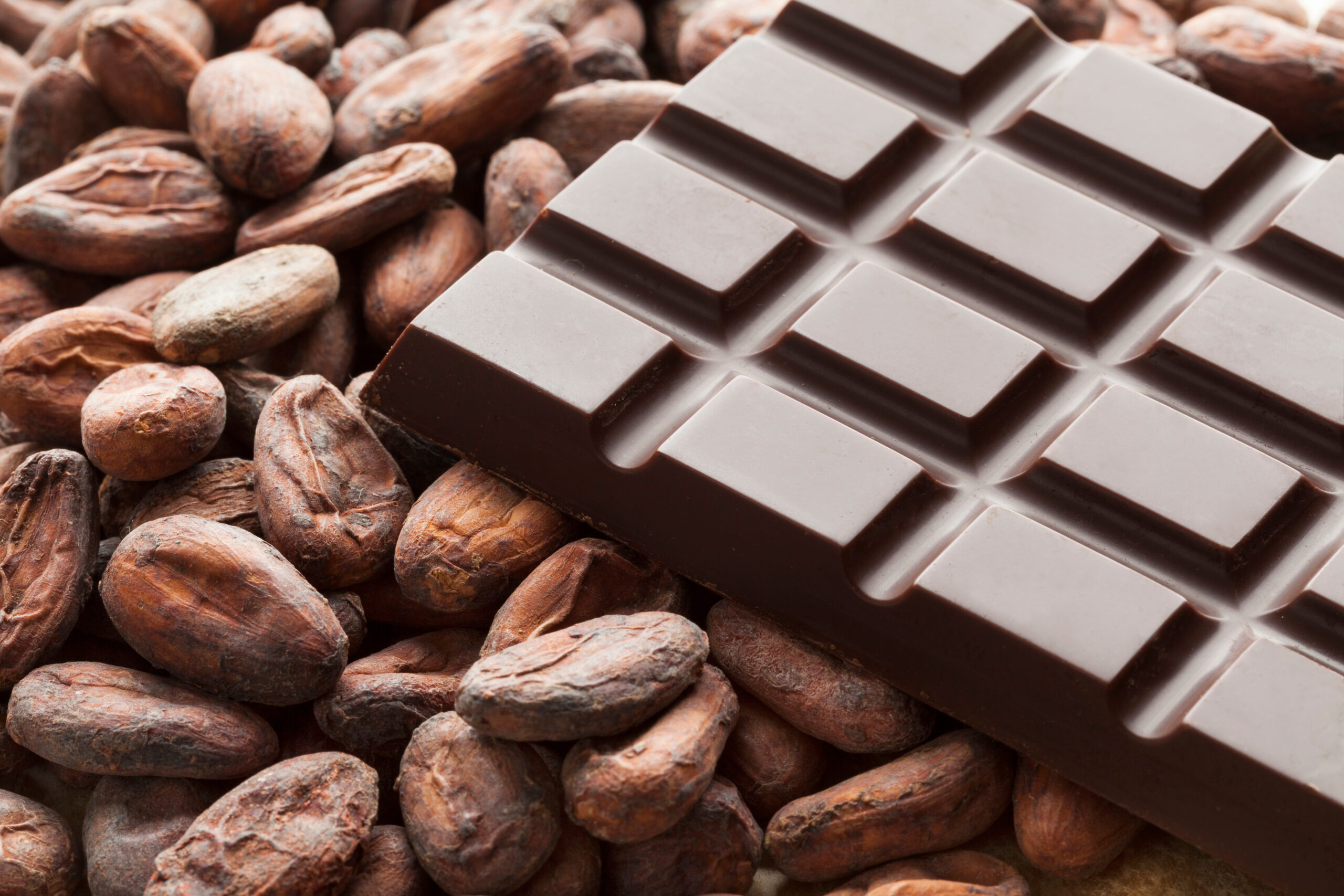 Bar of chocolate with raw cocoa beans